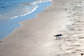 Urlaub an der Ostseeküste